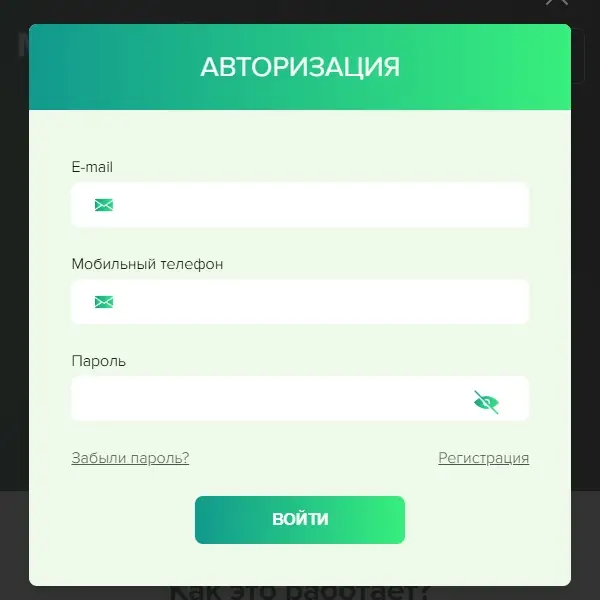 Экран входа в личный кабинет Moneyplus через сайт